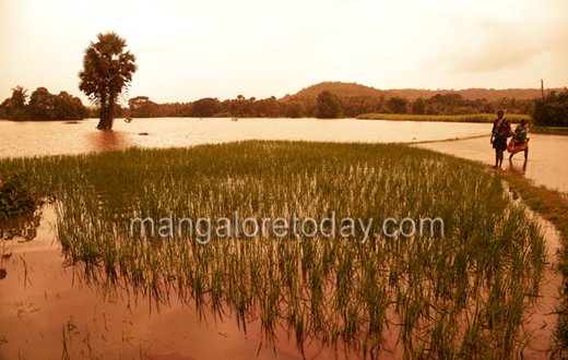 Moodushedde floods